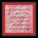 Murtaza Brlas 01 * 22.03.2008 * 233 x 545 * (38KB)
